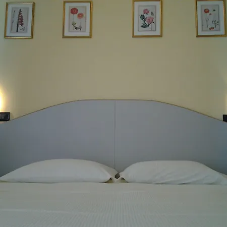 Adriatico 트리카세