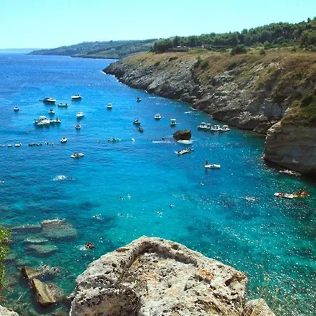 أدرياتيكو 3* تريكاس